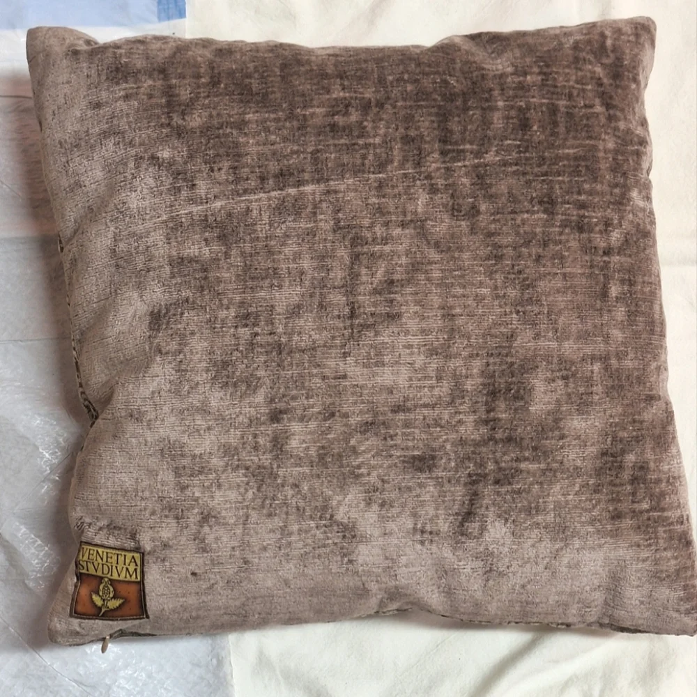 VENETIA STVDIVM | Vintage Pillows